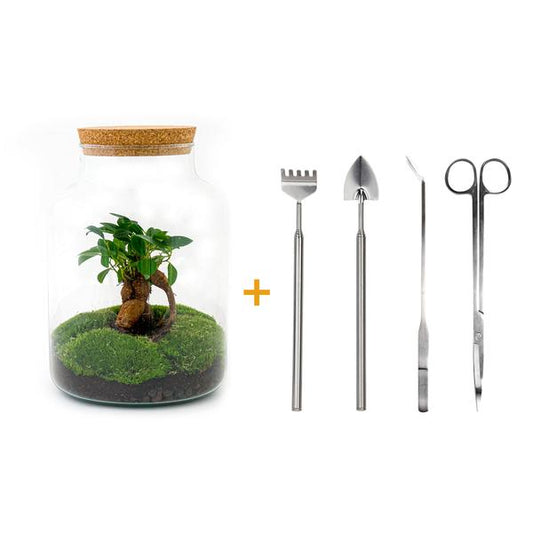 DIY terrarium - Milky met bonsai - ↕ 30 cm  - Rake + Shovel + Tweezer + Scissors
