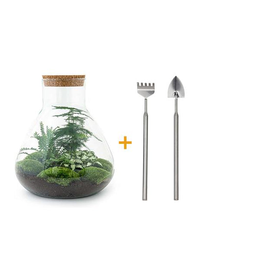 DIY terrarium - Sam XL - ↕ 35 cm - Rake + Shovel