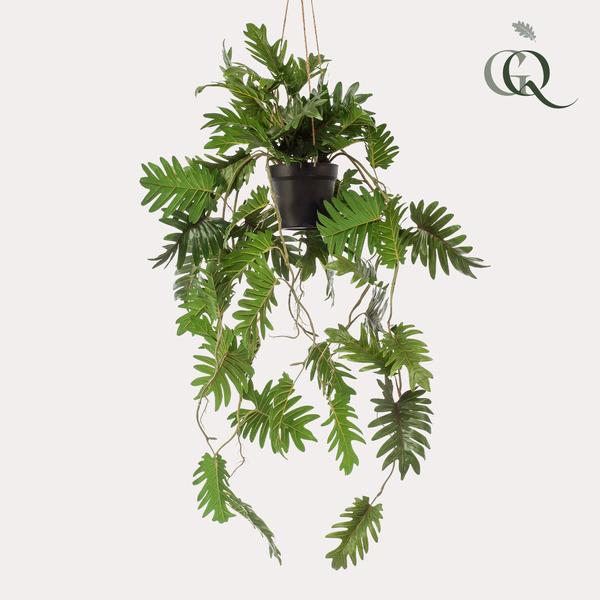 Plante artificielle - Philodendron - Amoureux des arbres grimpants - 80 cm