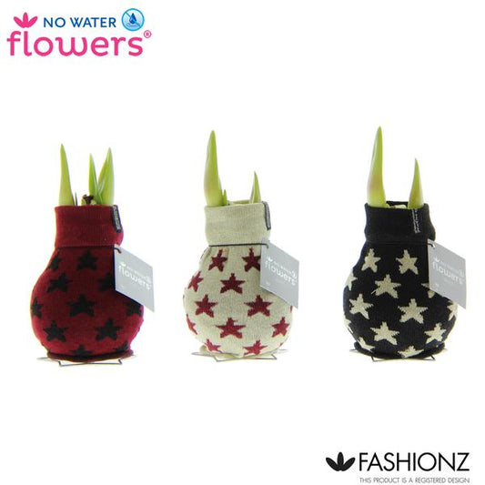 No Water Flowers Fashionz Patternz Star - 3 pièces - Ø7 cm - ↕15 cm