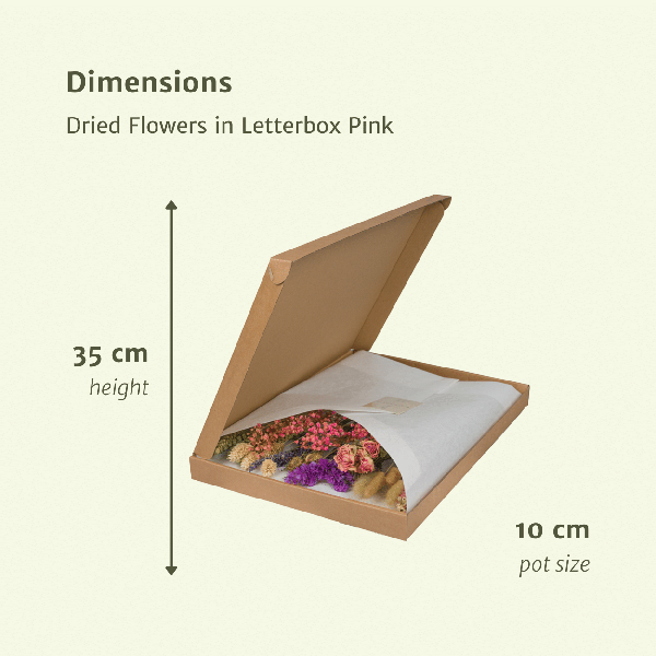 Fleurs séchées dans Boîte aux Lettres - Rose