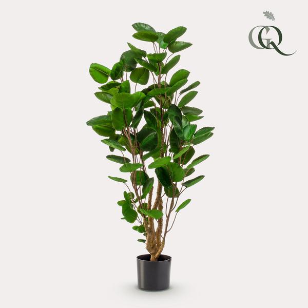 Plante artificielle - Polyscias - Aralia - 105 cm