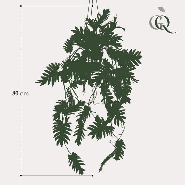 Plante artificielle - Philodendron - Amoureux des arbres grimpants - 80 cm