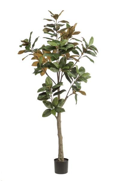Plante artificielle - Magnolia grandiflora - 180 cm