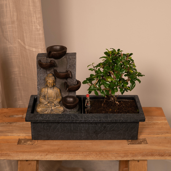 Bonsaï Cascade (budha) - Ø15cm - ↕30cm