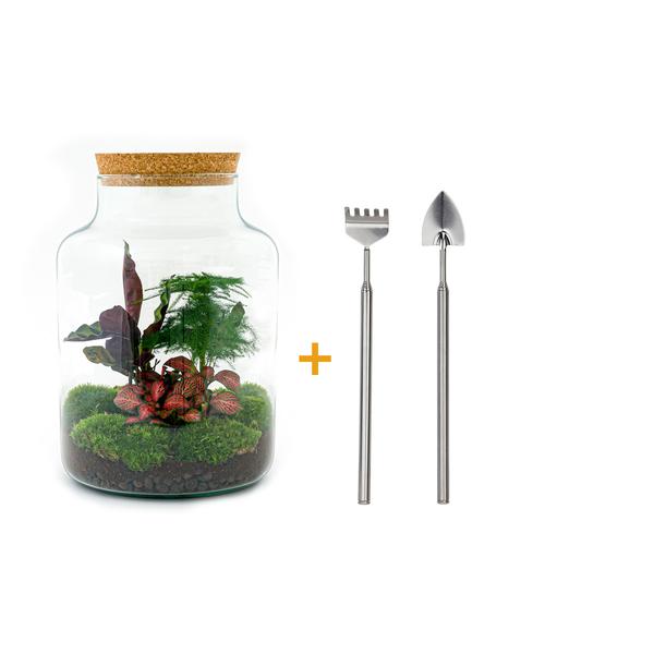 DIY terrarium - Milky - ↕ 30 cm - Rake + Shovel