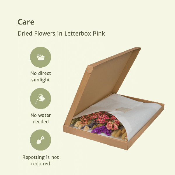 Fleurs séchées dans Boîte aux Lettres - Rose