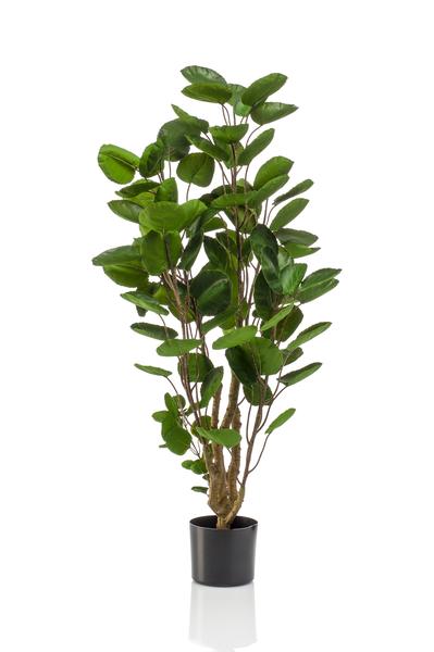 Plante artificielle - Polyscias - Aralia - 105 cm