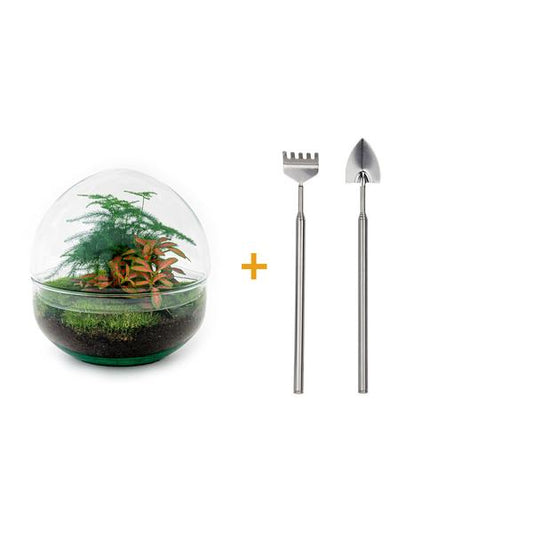 DIY terrarium - Dome Red - ↕ 20 cm - Rake + Shovel