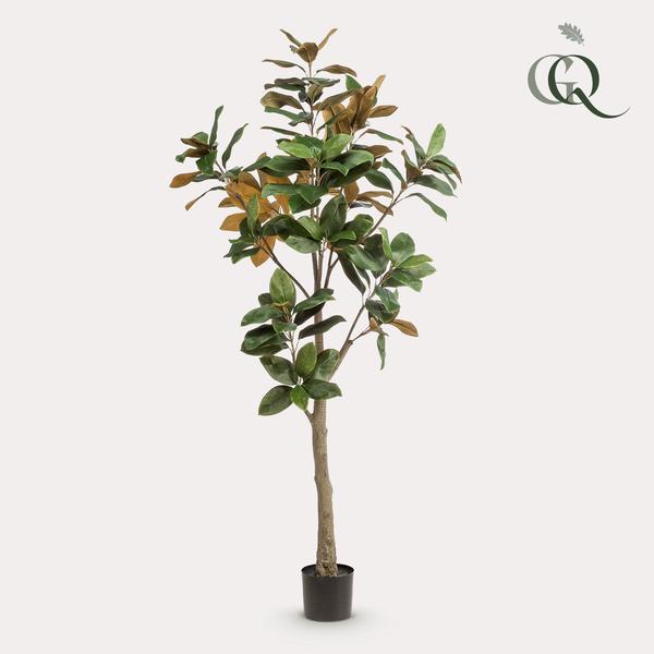 Plante artificielle - Magnolia grandiflora - 180 cm