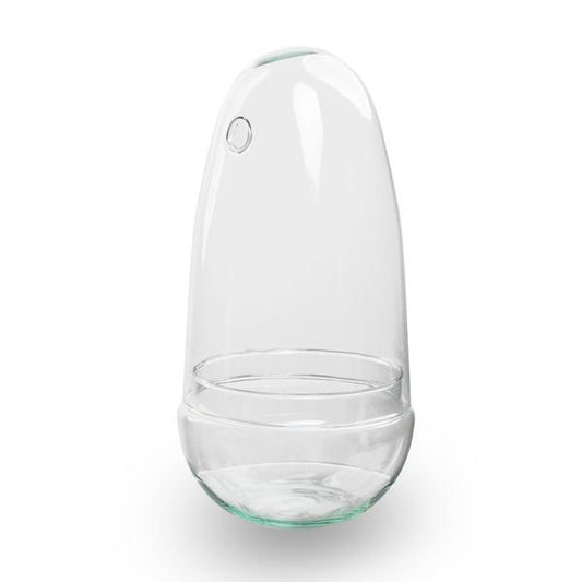 Terrarium fermé - Verre convexe - Cloche - Oeuf - Forme oeuf - ↑ 26 cm
